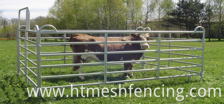 Galvanized Livestock Fence Cattle Fence Horse Fence Corral Panel